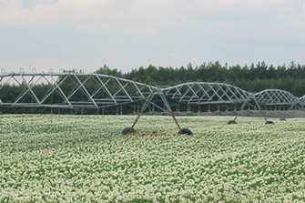 平移式噴灌機(jī)